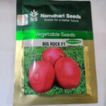 big rock f1 tomato seeds